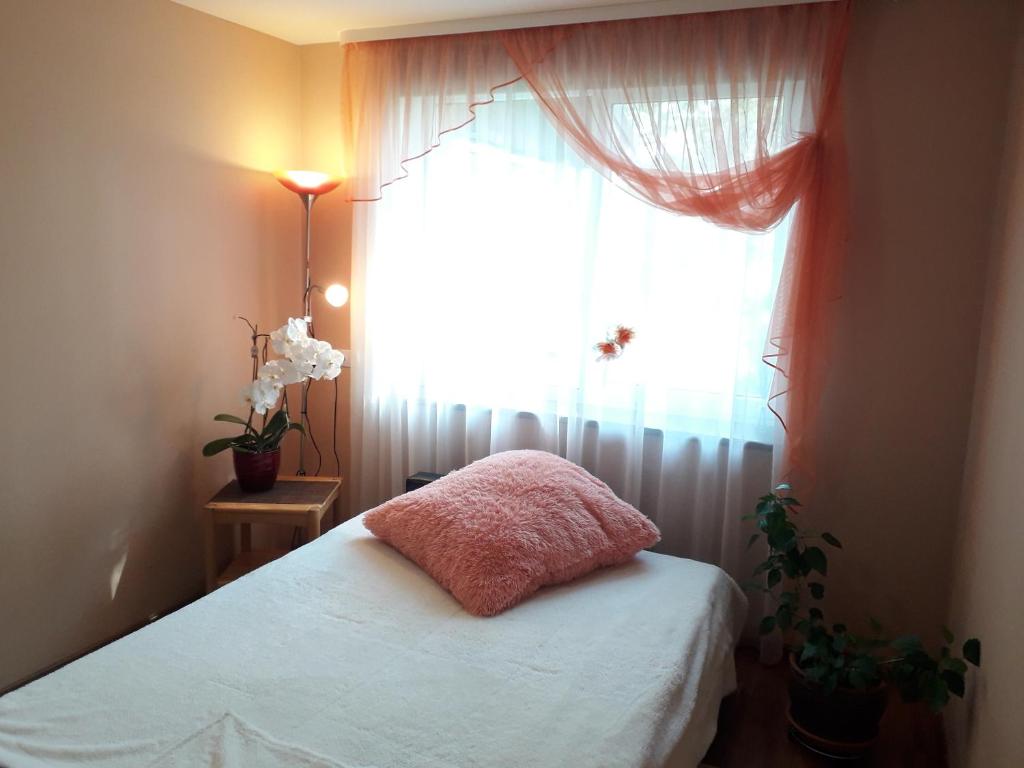 1 dormitorio con cama con almohada y ventana en Brīvdienu māja"Ordziņas', en Pāvilosta