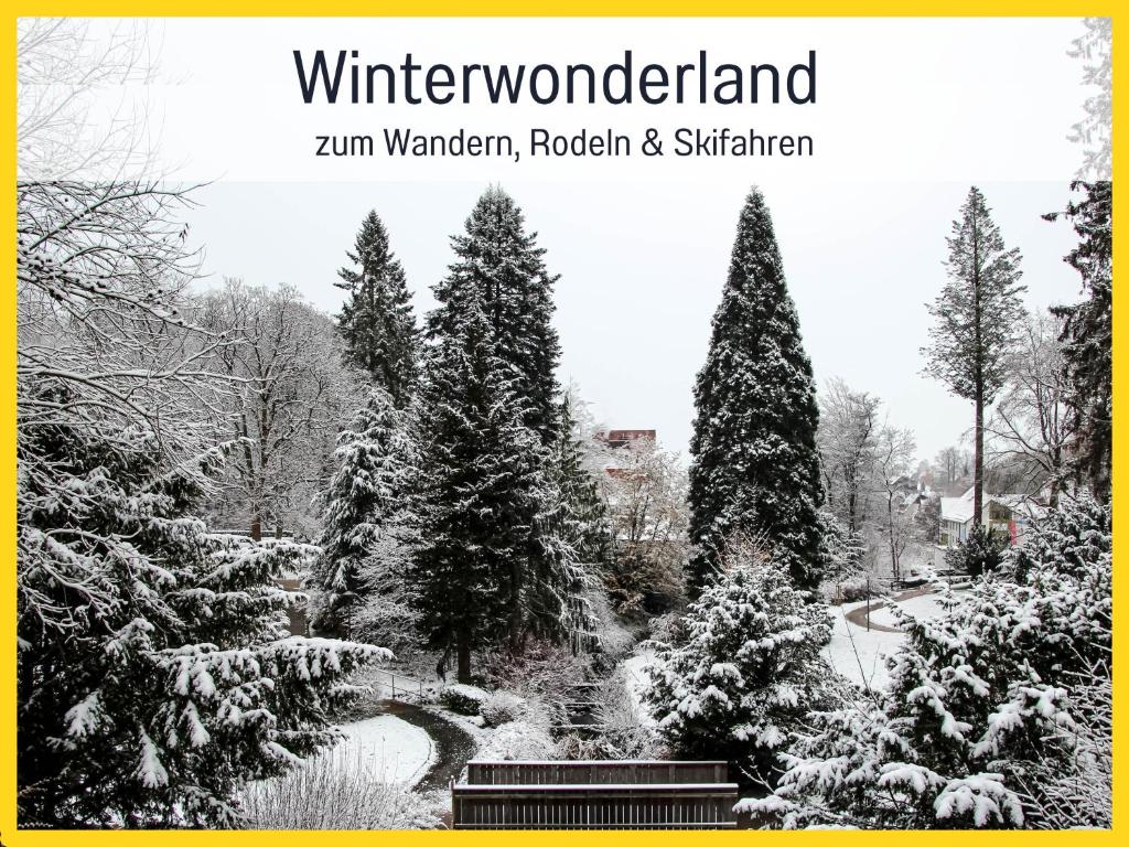 MARKs Ferienwohnung in Bad Sachsa - waldnah, hundefreundlich, ruhig! Ideal für Paare mit Hund v zimě