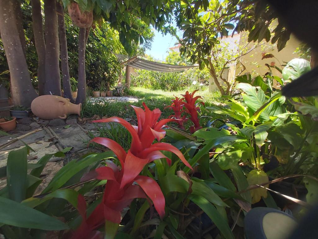 A garden outside Remarkable 4-Bed Villa