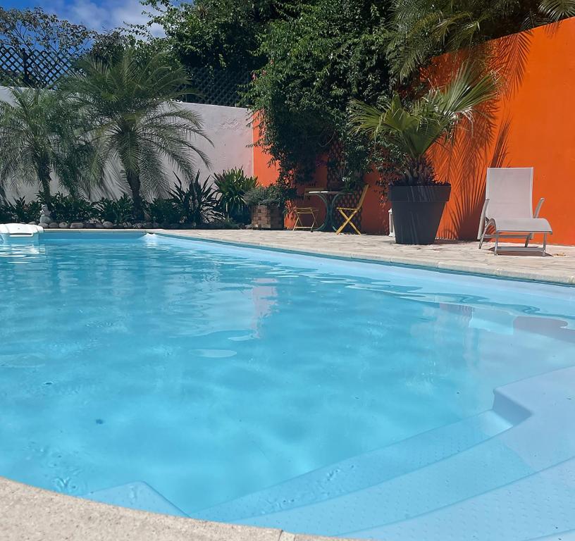 a large blue swimming pool with a chair and palm trees at Casamango in Basse-Terre