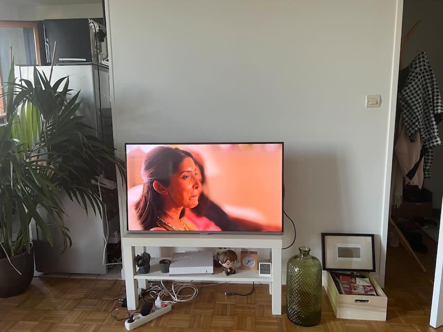 a flat screen tv on a stand in a living room at Superbe appartement proche Paris 30 min RER in Saint-Maur-des-Fossés