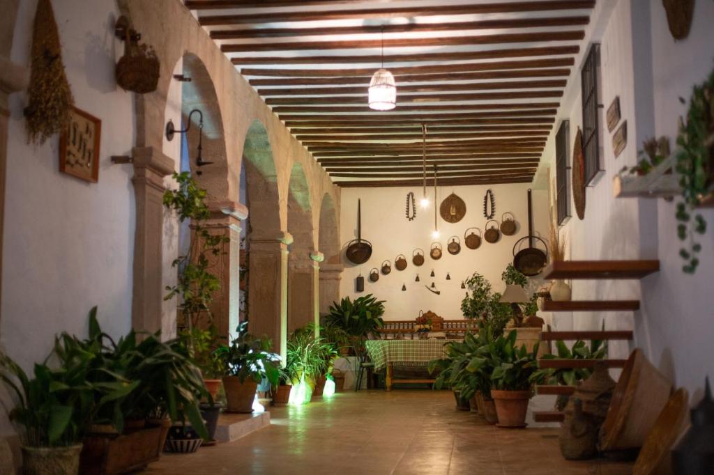 un pasillo con macetas en un edificio en Claustro de las Clarisas en Villanueva de los Infantes