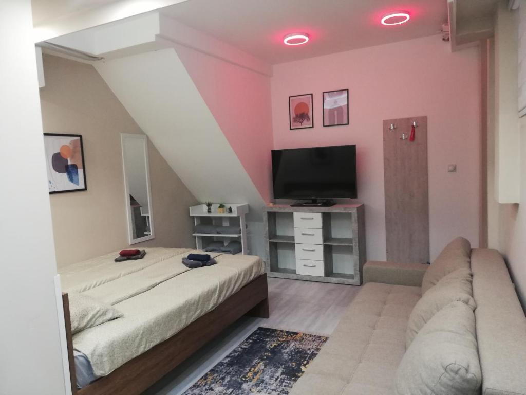 TV a/nebo společenská místnost v ubytování Blue Carpet Rooms