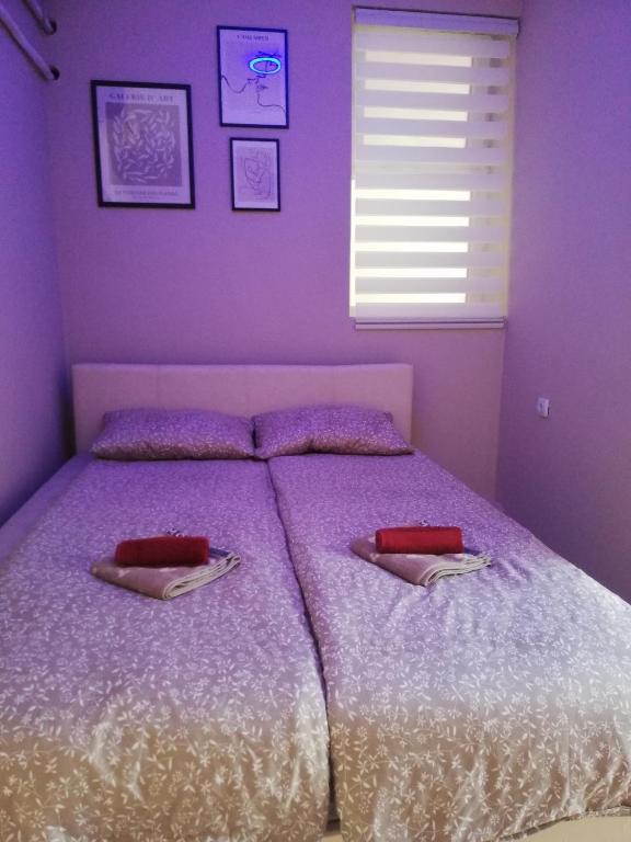 Postel nebo postele na pokoji v ubytování Blue Carpet Rooms