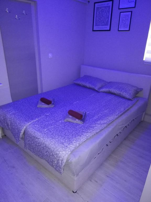 Postel nebo postele na pokoji v ubytování Blue Carpet Rooms
