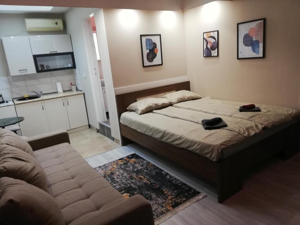 a bedroom with a bed and a couch and a kitchen at Blue Carpet Rooms in Niš
