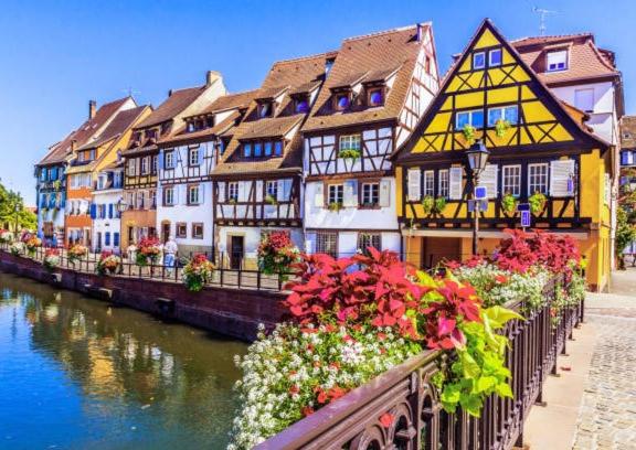 Commanderie Cottage Colmar – photo 30