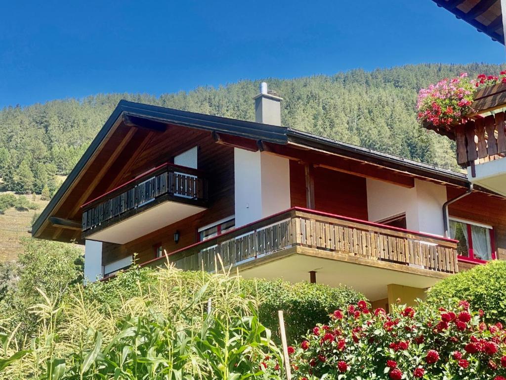 Příroda nedaleko apartmánu