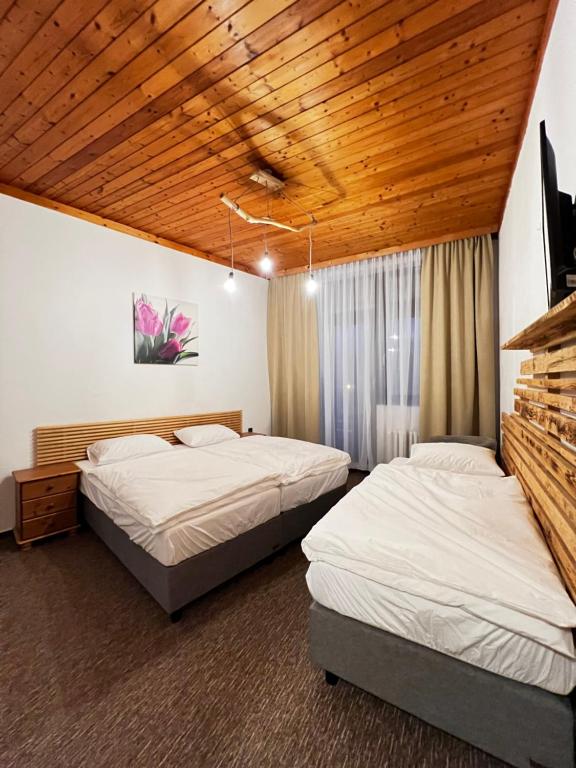 哈拉霍夫的住宿－Pension Mona，配有木天花板的客房设有两张床。