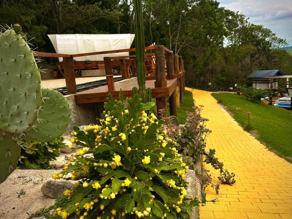 Zahrada ubytování Carroça Arizona, Vila Mágica