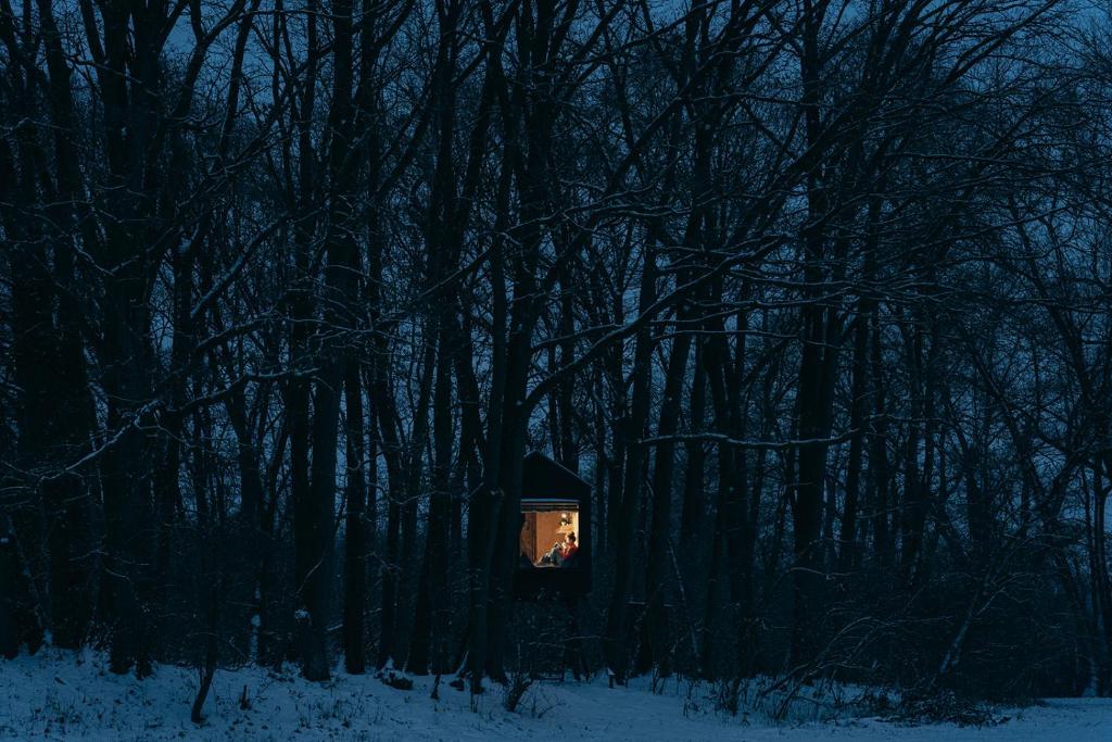 a door in the middle of a forest at night at KeepCalm Treehouse far from the civilization 