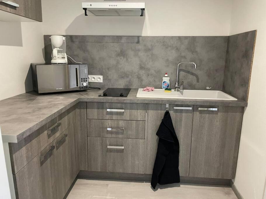 eine Küche mit einer Spüle und einer Mikrowelle in der Unterkunft Maison/appartement de campagne in Champvans