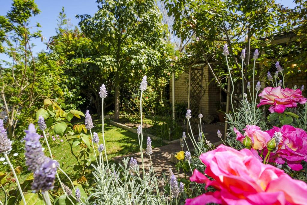 a garden with pink roses and other flowers at Secret Garden Cottage Busselton in Busselton
