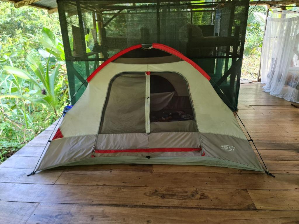 Rio Agujitas Eco jungle - Island and Corcovado tours - Carpa