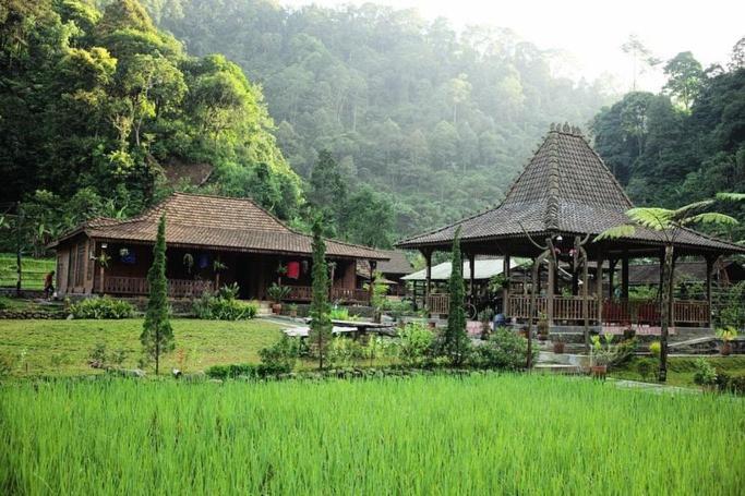 zwei Pavillons auf einem Feld neben einem Grasfeld in der Unterkunft Rumah Lembah Bogor 