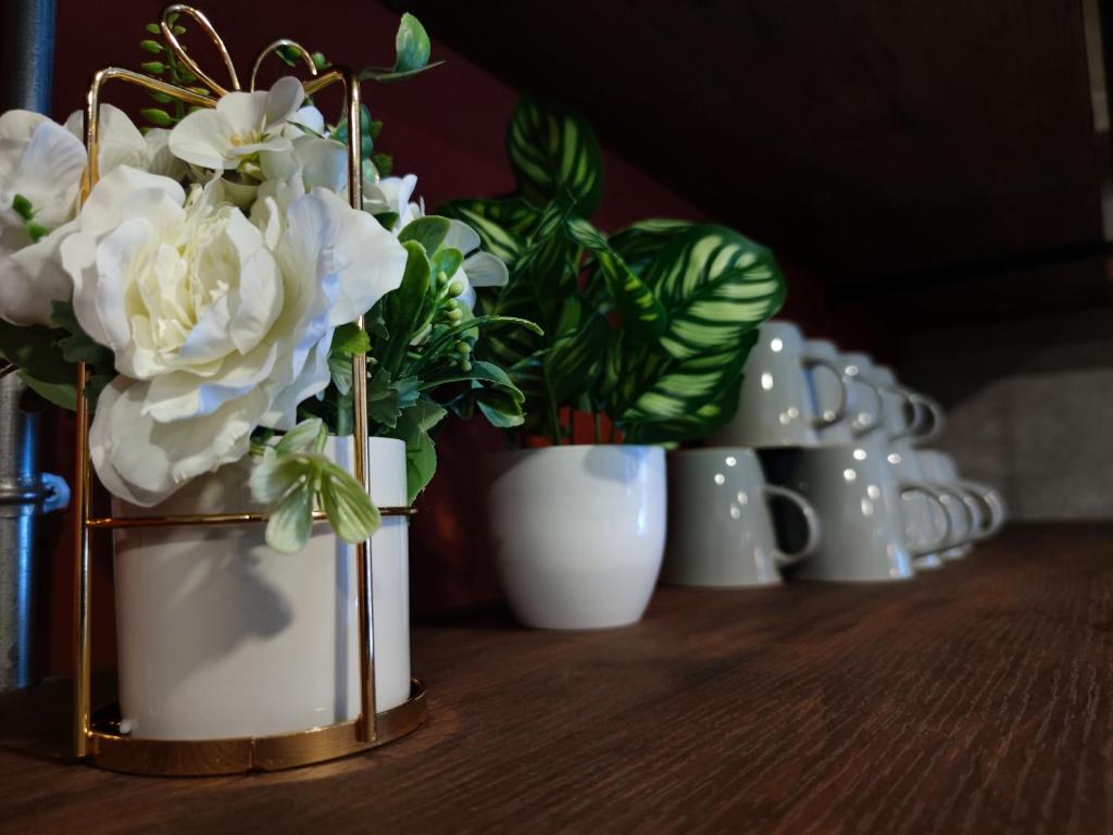 N5 Ratchawong Hostel - 12