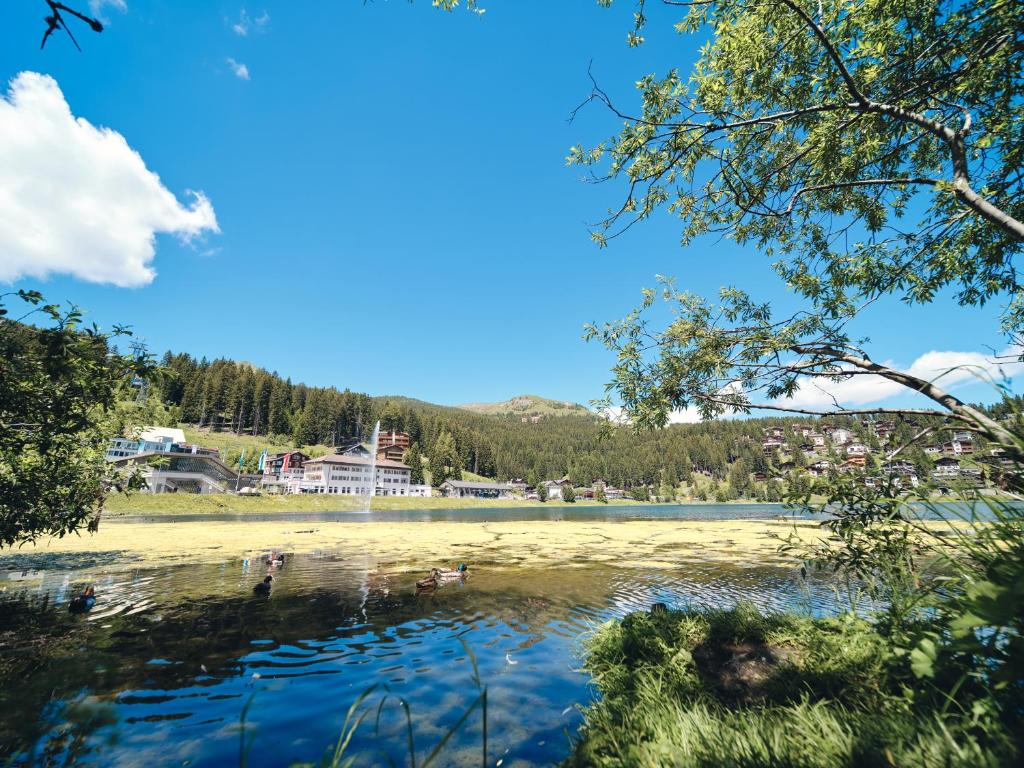 Příroda nedaleko apartmánu