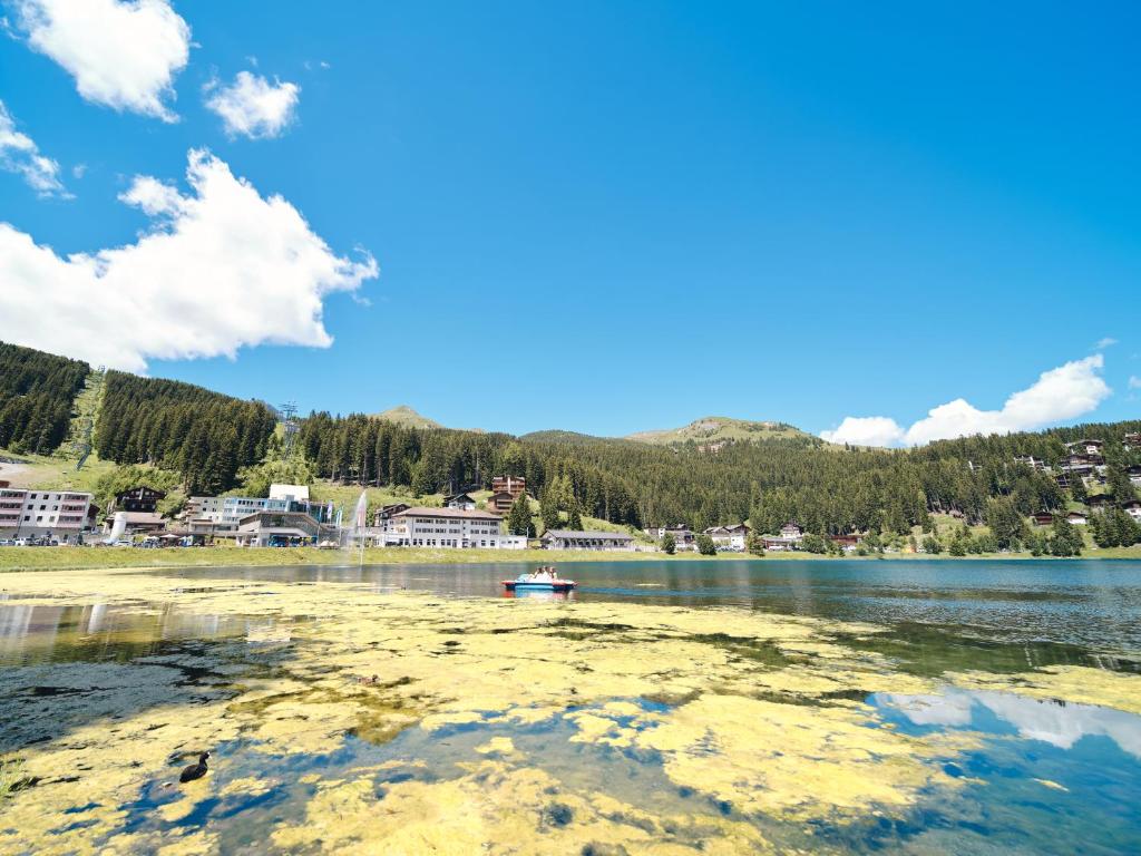 Příroda nedaleko apartmánu