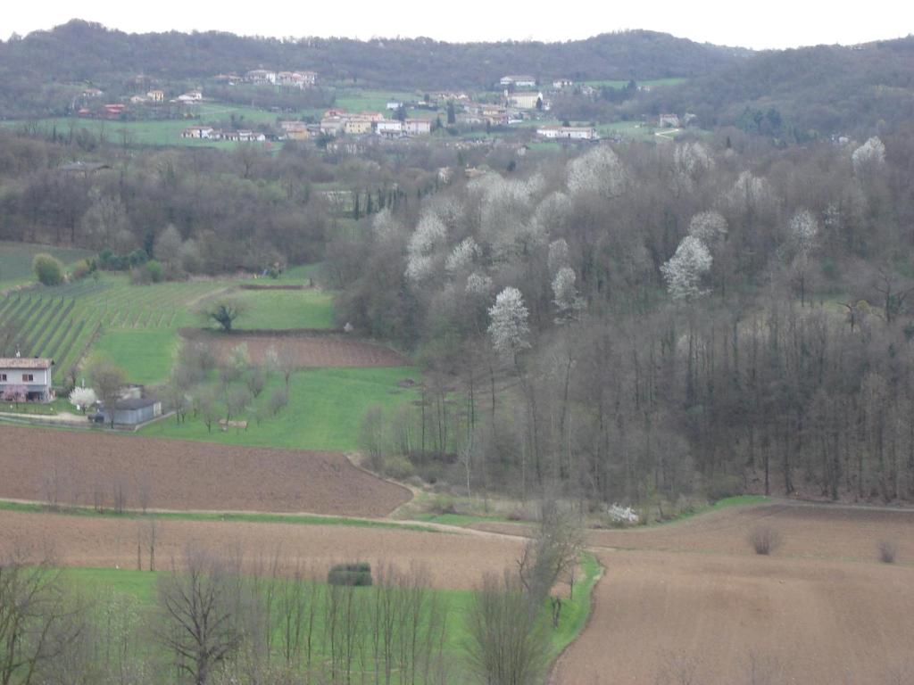 Příroda nedaleko apartmánu