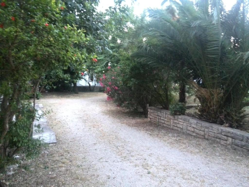 a dirt road with trees and a stone wall at Apartment Tome in Biograd na Moru