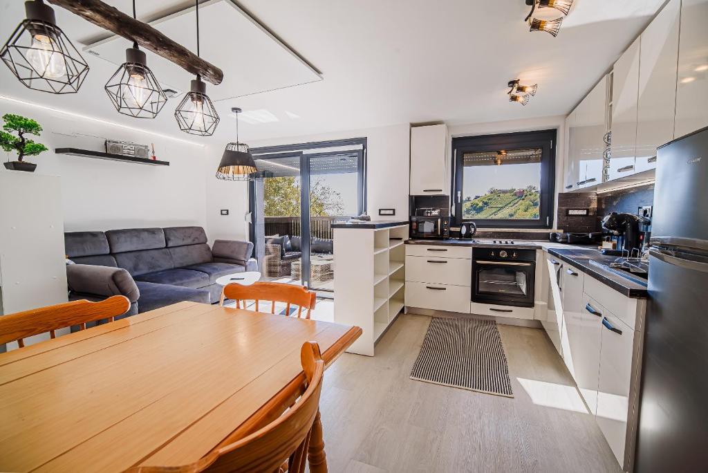 Kuchyň nebo kuchyňský kout v ubytování Holiday Home Aleks