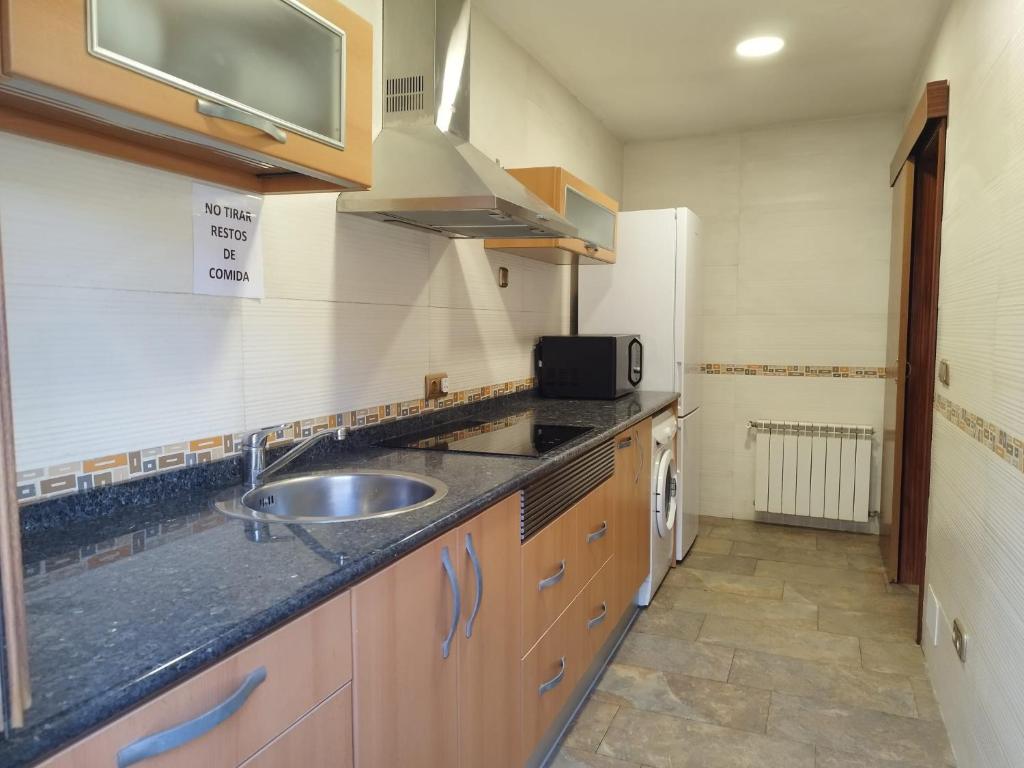 uma cozinha com um lavatório e um micro-ondas em Vivienda Turistica El Caneco em Tordesilhas