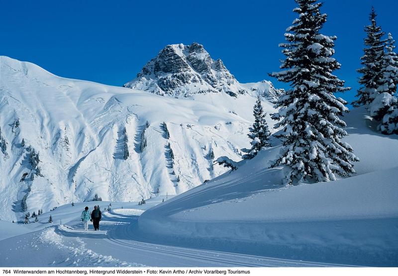 two people are skiing down a snow covered mountain at Widderstein Apartments in Schröcken