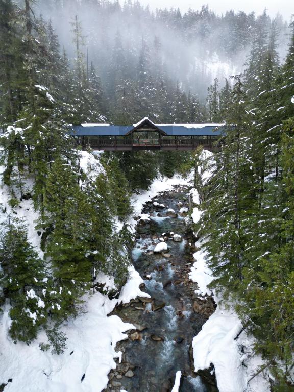 Kootenay Lakeview Retreats - Forest Cabin - 2ベッドルームの家