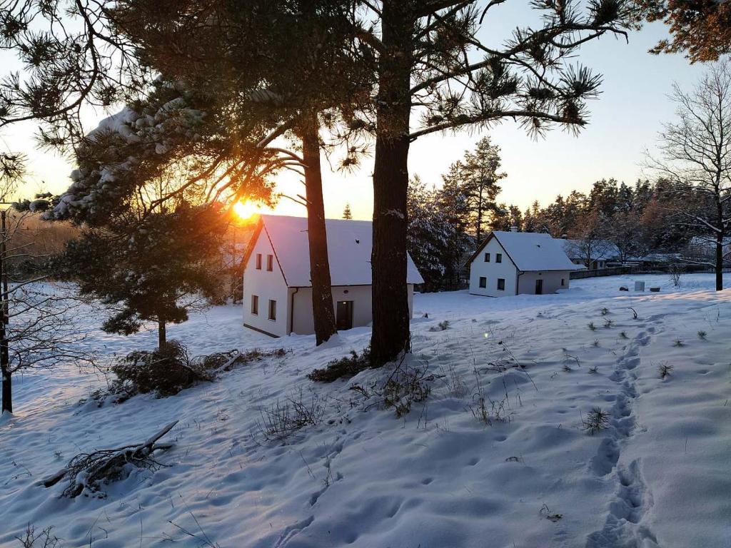 ein schneebedecktes Feld mit zwei weißen Gebäuden und einem Baum in der Unterkunft Klidná lokalita Na kraji lesa, celý dům s úschovnu kol in Nová Bystřice