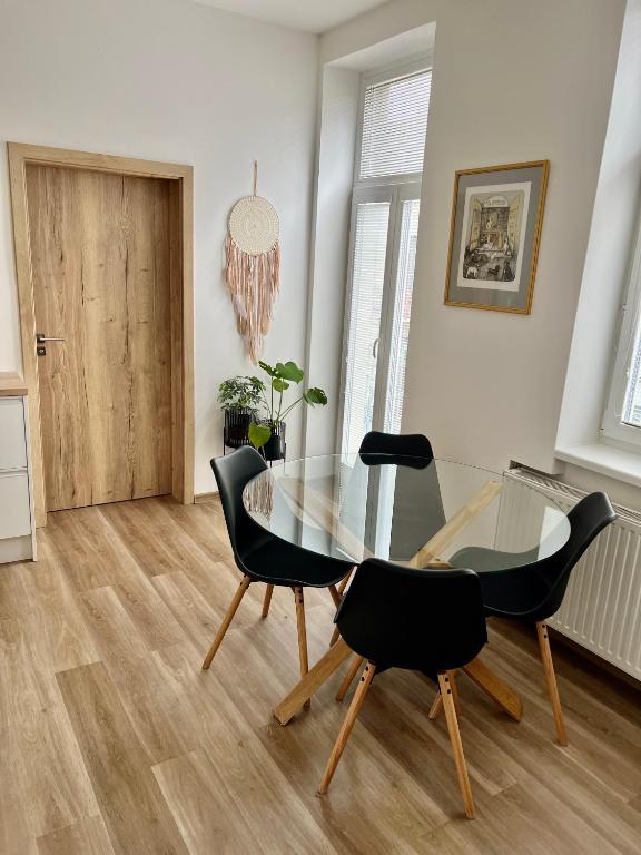 Fotografie z fotogalerie ubytování Sušilova 14 apartments III v Přerově
