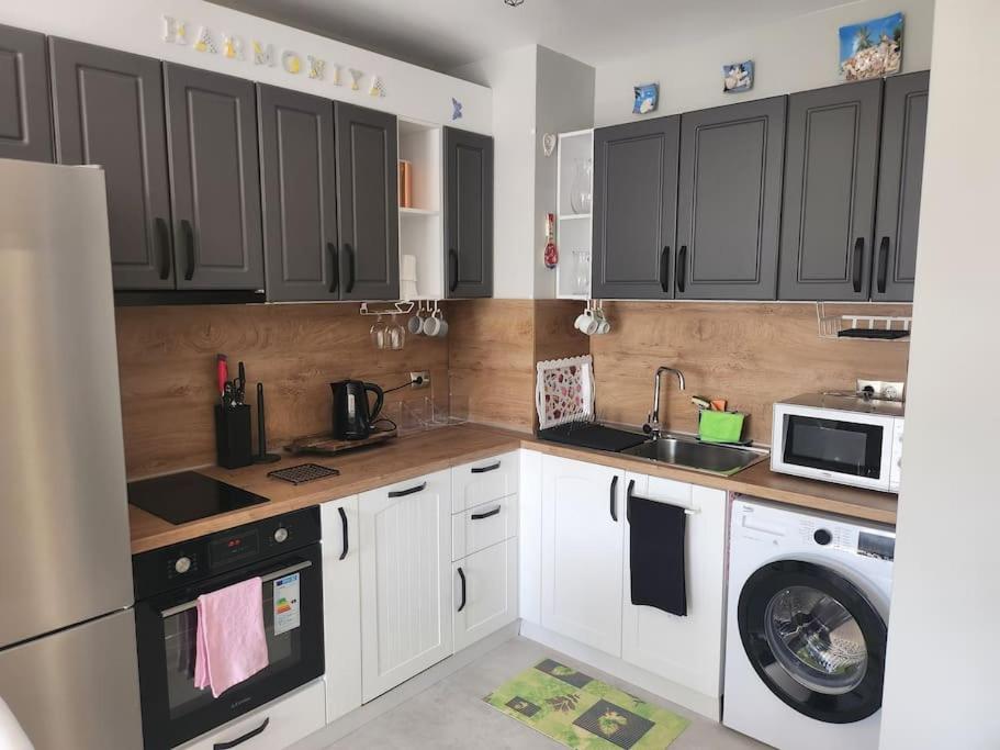 Kuchyň nebo kuchyňský kout v ubytování Harmony apartment
