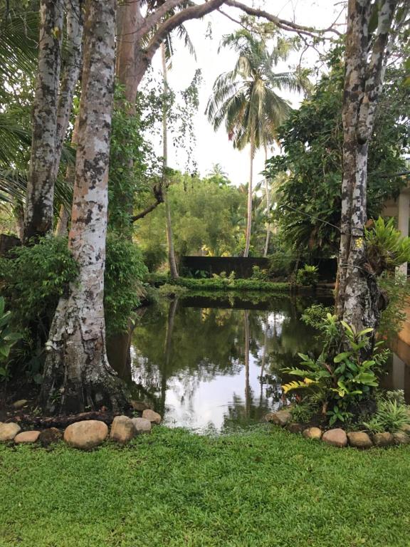 un estanque en el patio de una casa en New Stay Inn, en Bentota