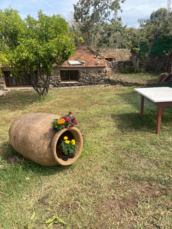 Rural House to take a Break, La Serreria 25 tesisinin dışında bir bahçe