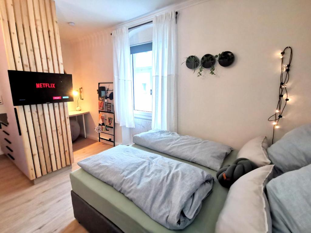 Cette chambre comprend 2 lits et une télévision. dans l'établissement Der schönste Platz in der Altstadt, à Amberg