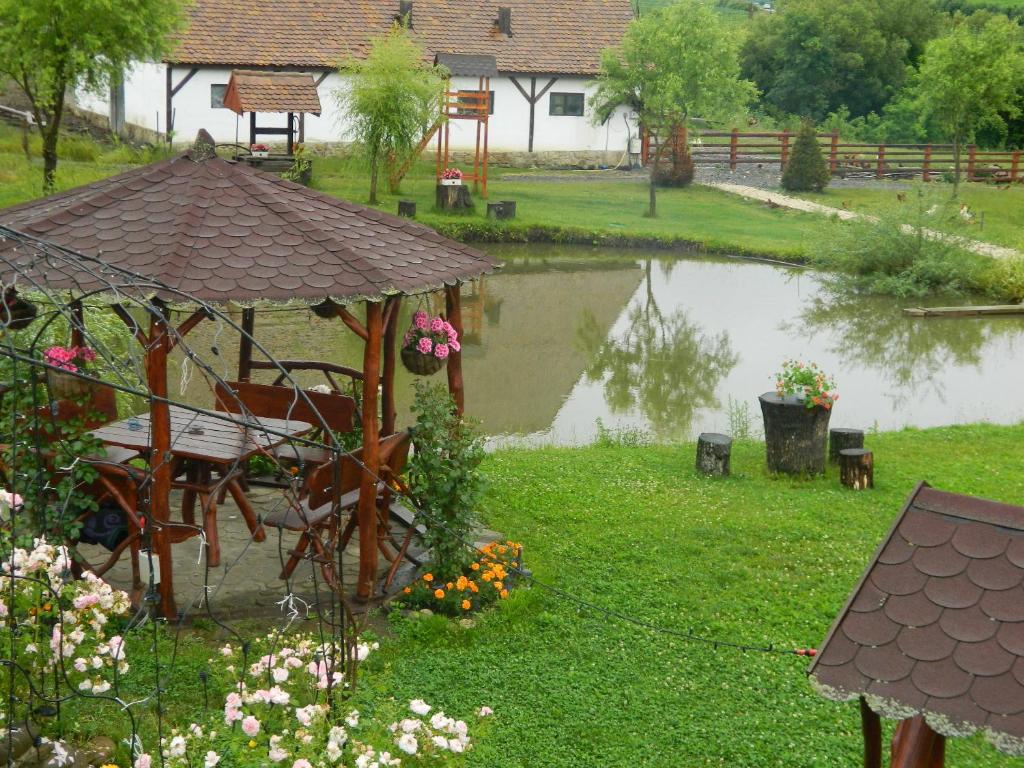 Zahrada ubytování Pensiunea Violeta