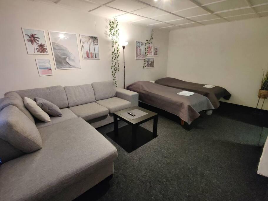イマトラにある"Surf" Apartment with smart lockのソファとベッドのあるリビングルーム