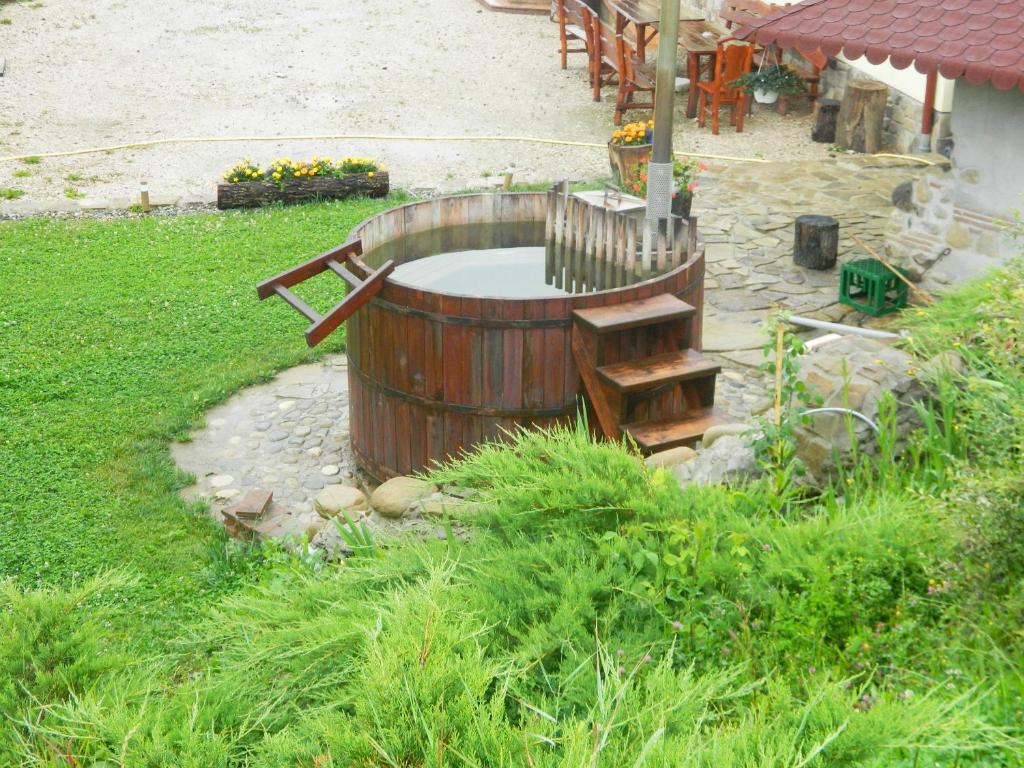 Zahrada ubytování Pensiunea Violeta