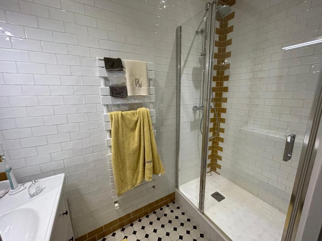 a bathroom with a shower and a sink at Les 24 colonnes in Lyon
