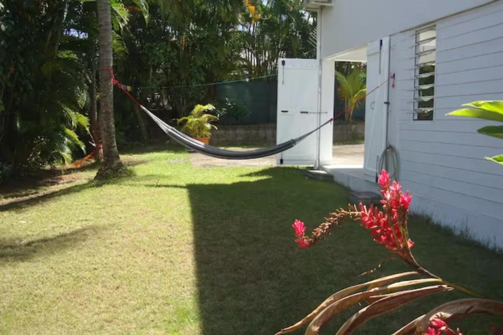Jardín al aire libre en T2 Centre Guadeloupe