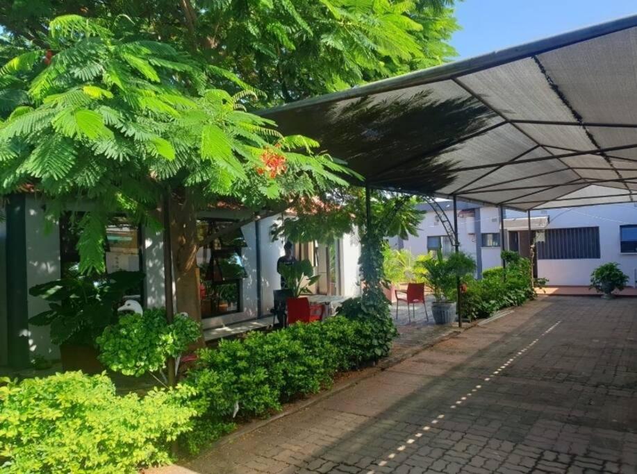 Taman di luar Bianca's