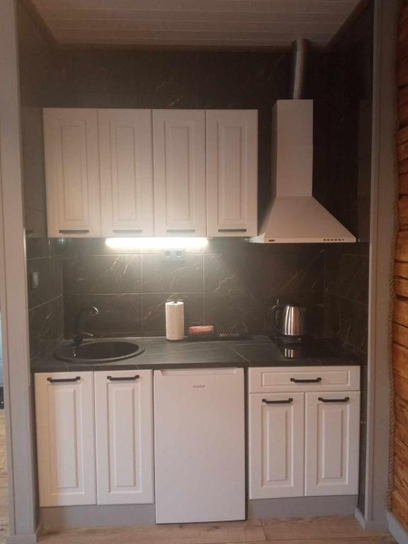 Köök või kööginurk majutusasutuses Rägavere tee 16 Apartment