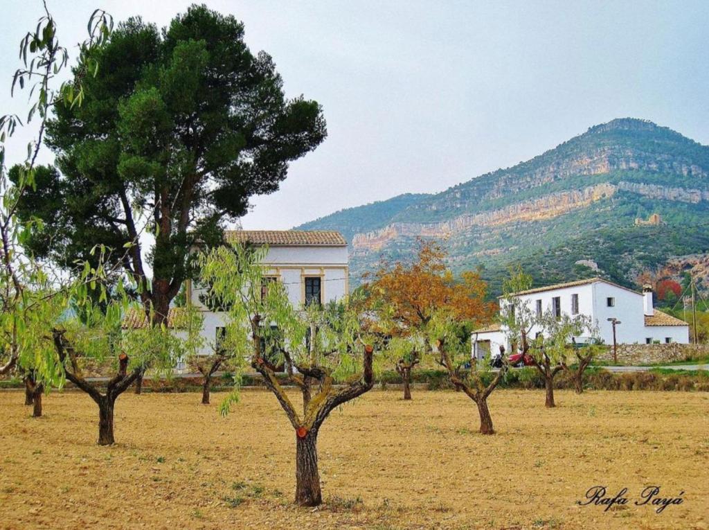 een veld met bomen en een gebouw en een berg bij El Pino B & B, Chera in Valencia