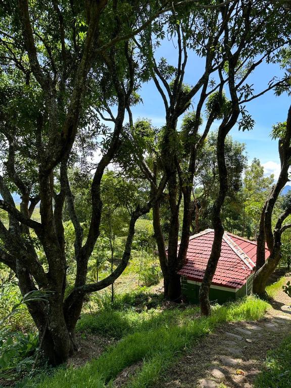Qatsyir Horizon - Villa Met één Slaapkamer