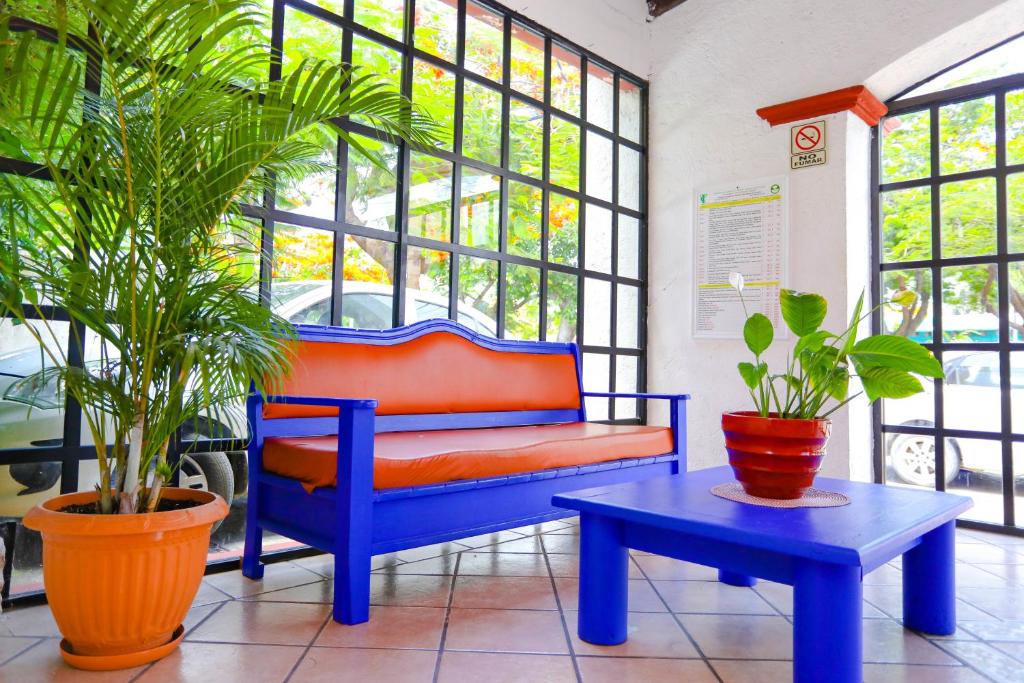 Zahrada ubytování Hotel Hacienda Cancun
