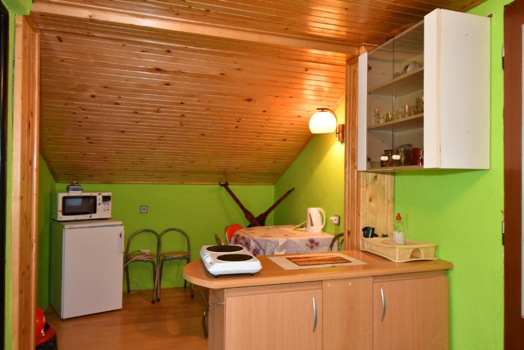Kuchyň nebo kuchyňský kout v ubytování Privát Lujza
