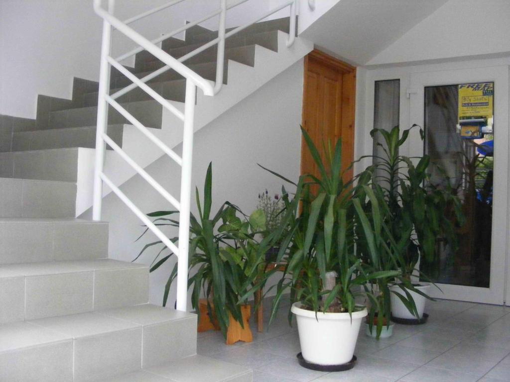 Fotografie z fotogalerie ubytování Arizona apartman v Siofoku