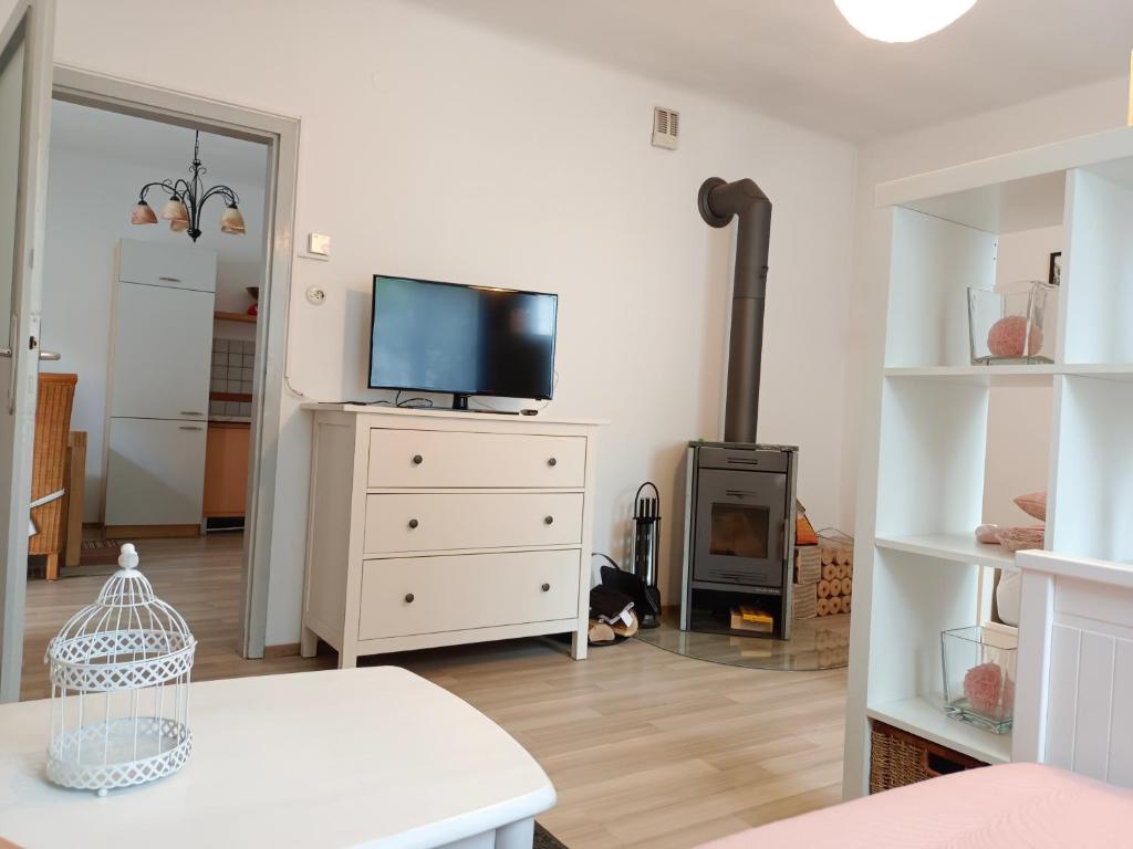 TV a/nebo společenská místnost v ubytování Ferienwohnung Strohblume