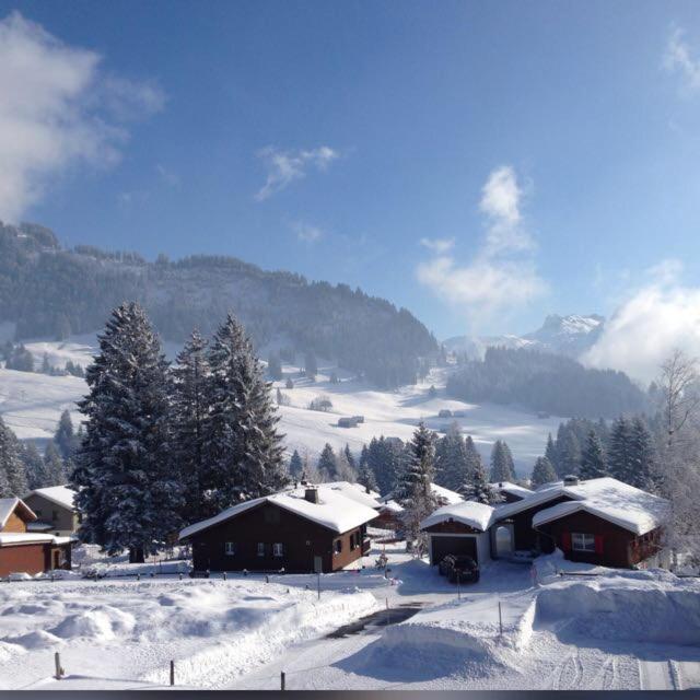 Alpenblick Loft neben Skilift in Amden Arvenbüel v zimě