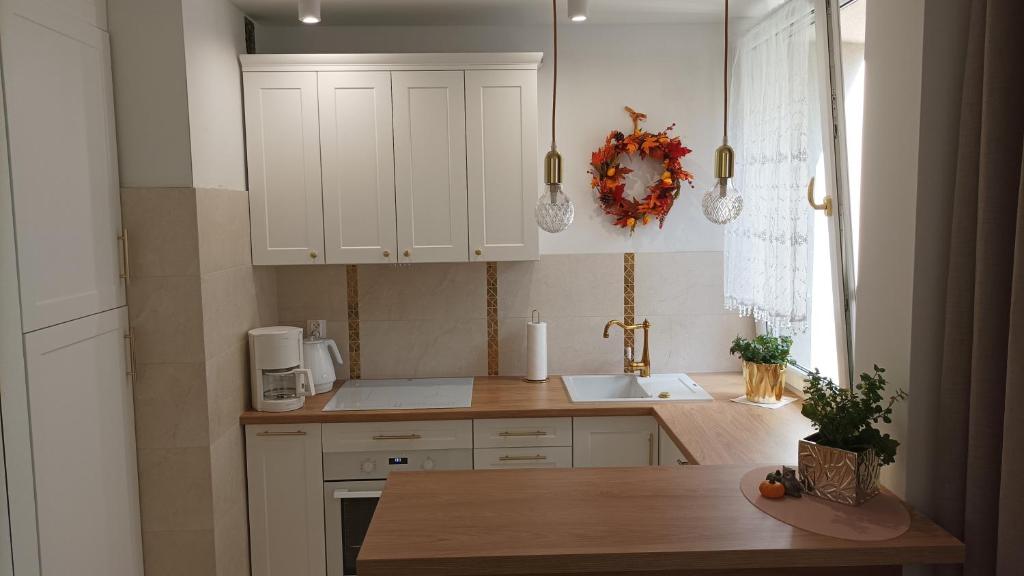 Kuchyň nebo kuchyňský kout v ubytování Apartament MAX