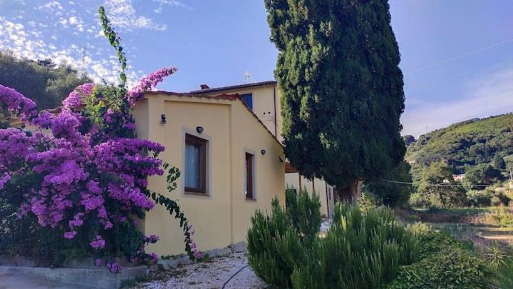 una casa con flores púrpuras delante de ella en Casa Gaia, en San Giuliano Terme
